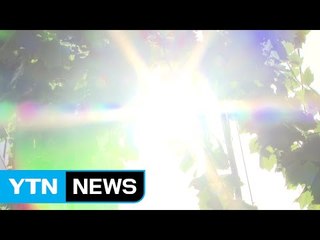 평년 강수량 6%...'메마른 8월' 더 힘들다 / YTN (Yes! Top News)