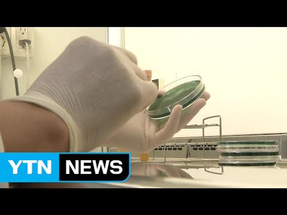 콜레라 환자 최종 '음성'...격리 해제 / YTN (Yes! Top News)