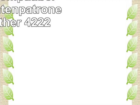 TiSa 10x kompatibel LC1240 Tintenpatronen für Brother 4222