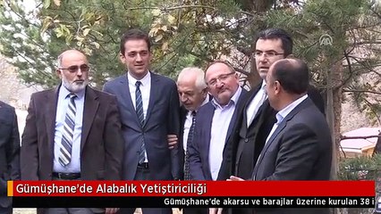 Gümüşhane'de Alabalık Yetiştiriciliği