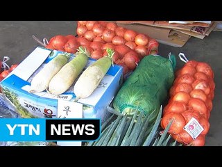 추석 앞두고 채소·과일값 폭등...폭염 여파 / YTN (Yes! Top News)