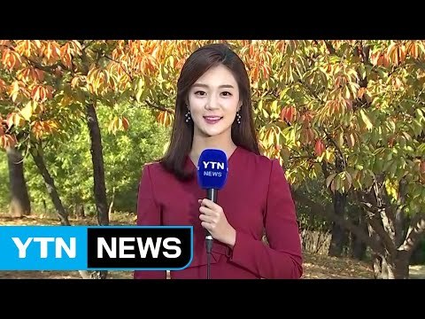 [날씨] 쾌청한 하늘, 선선한 공기...내일 남부 빗방울 / YTN
