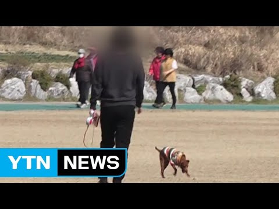 인명 사고 낸 반려견 주인 처벌 대폭 강화 / YTN