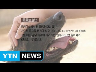 목줄 등 반려견 안전조치 소홀이 문제 / YTN
