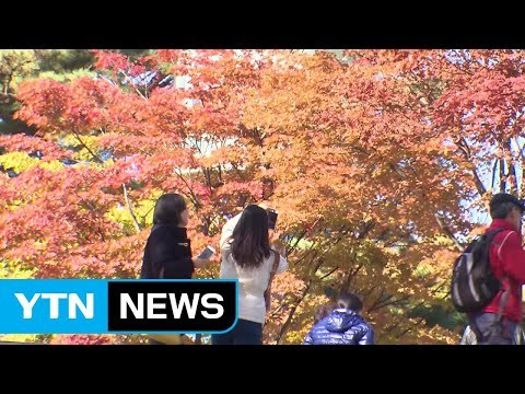 [날씨] 쾌청한 주말, 절정 향해가는 단풍 / YTN