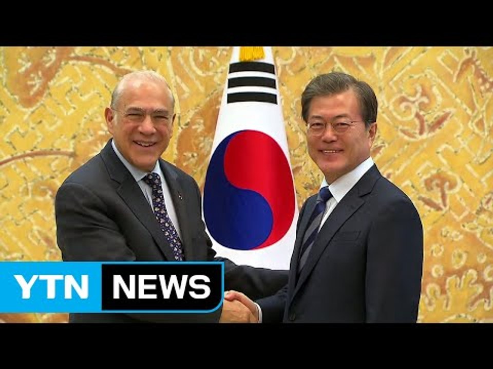 문재인 대통령 "양극화 문제 해결 최우선...OECD와 협력" / YTN