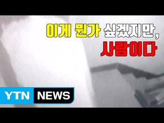 [자막뉴스] '이렇게 하면 못 잡겠지?' 생각했겠지만...잡혔다 / YTN