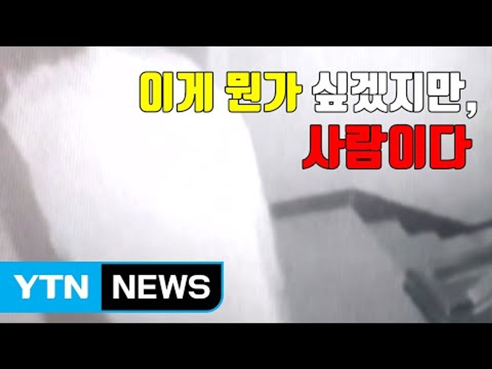 [자막뉴스] '이렇게 하면 못 잡겠지?' 생각했겠지만...잡혔다 / YTN