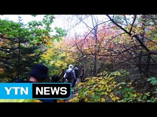 '어머니 품' 같은 국내 1호 국립공원 지리산 / YTN