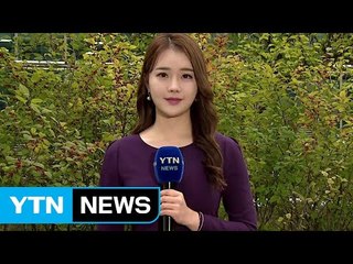 [날씨] 갑작스런 가을 추위...낮에도 '쌀쌀', 곳곳 비 / YTN