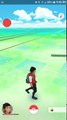 Pokémon GO 31 EVOLUTIONS 31,000XP Rares & Commons
