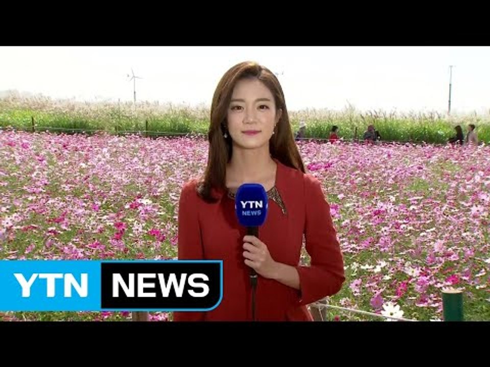 [날씨] 전국 맑고 낮부터 추위 풀려...주말 선선 / YTN