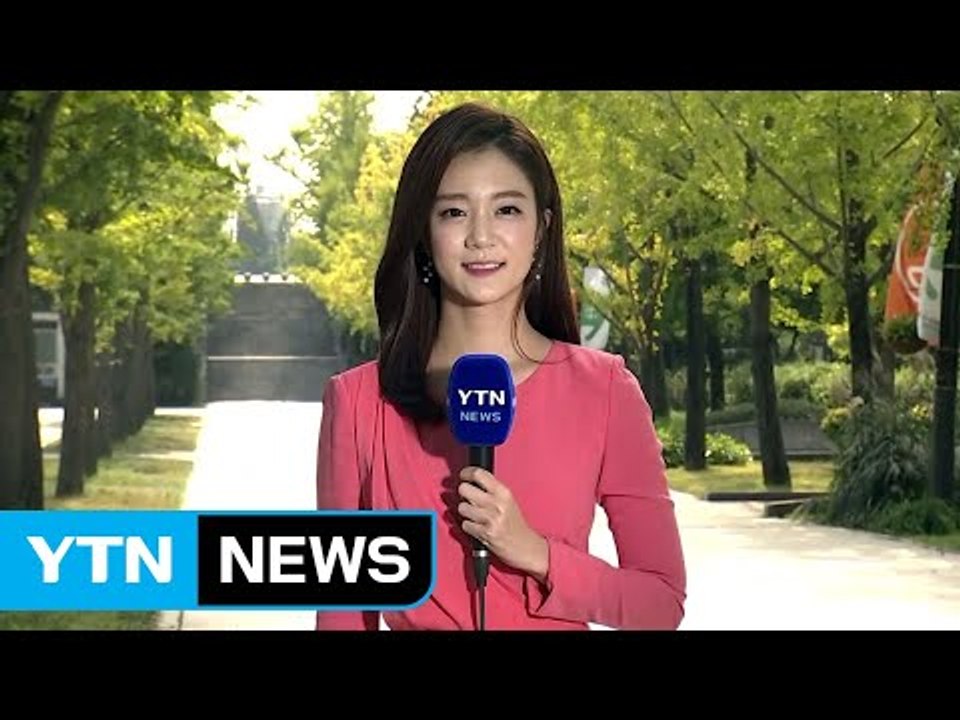 [날씨] 맑고 선선한 가을...노랗게 물든 은행나무 / YTN