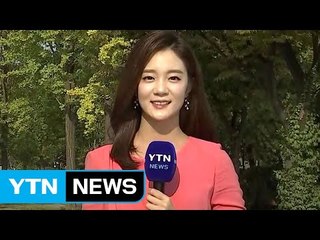 [날씨] 내일도 맑고 큰 일교차...도심 곳곳서 단풍 / YTN