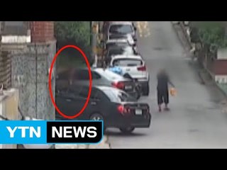 "집에 현금 보관하세요"...노인 울린 전화금융사기 일당 / YTN