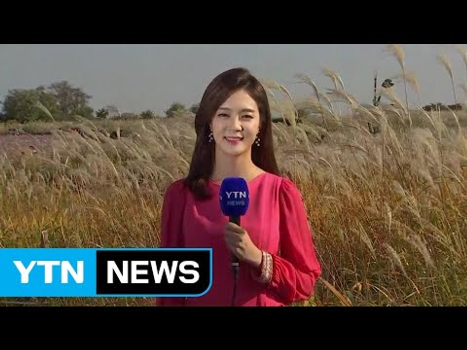 [날씨] 주말까지 내륙 쾌청...태풍 영향 휴일 강풍 / YTN