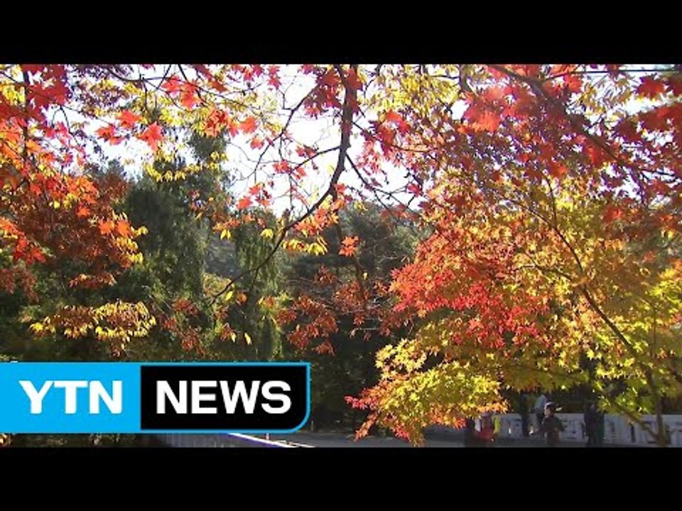 주말 맞아 화창한 가을 날씨...등산객 북적 / YTN