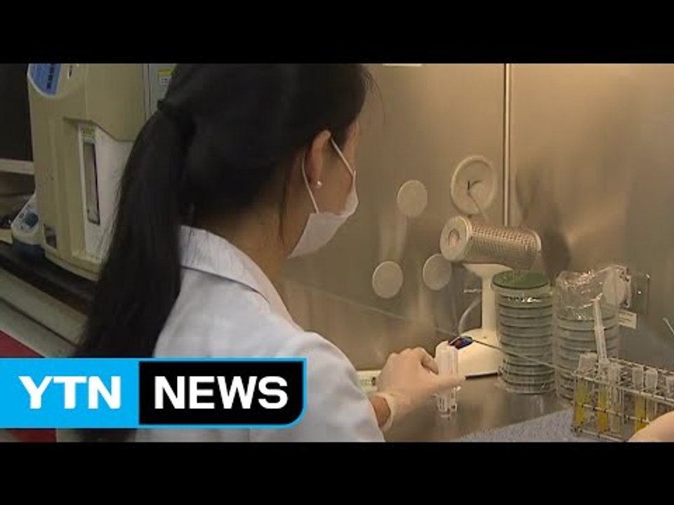 15년 만에 번진 '콜레라 주의보'...콜레라균, 어디서 왔나? / YTN (Yes!...