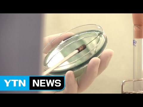 [브리핑] 콜레라 확진 환자, 농어·전복 먹었다 / YTN (Yes! Top News)