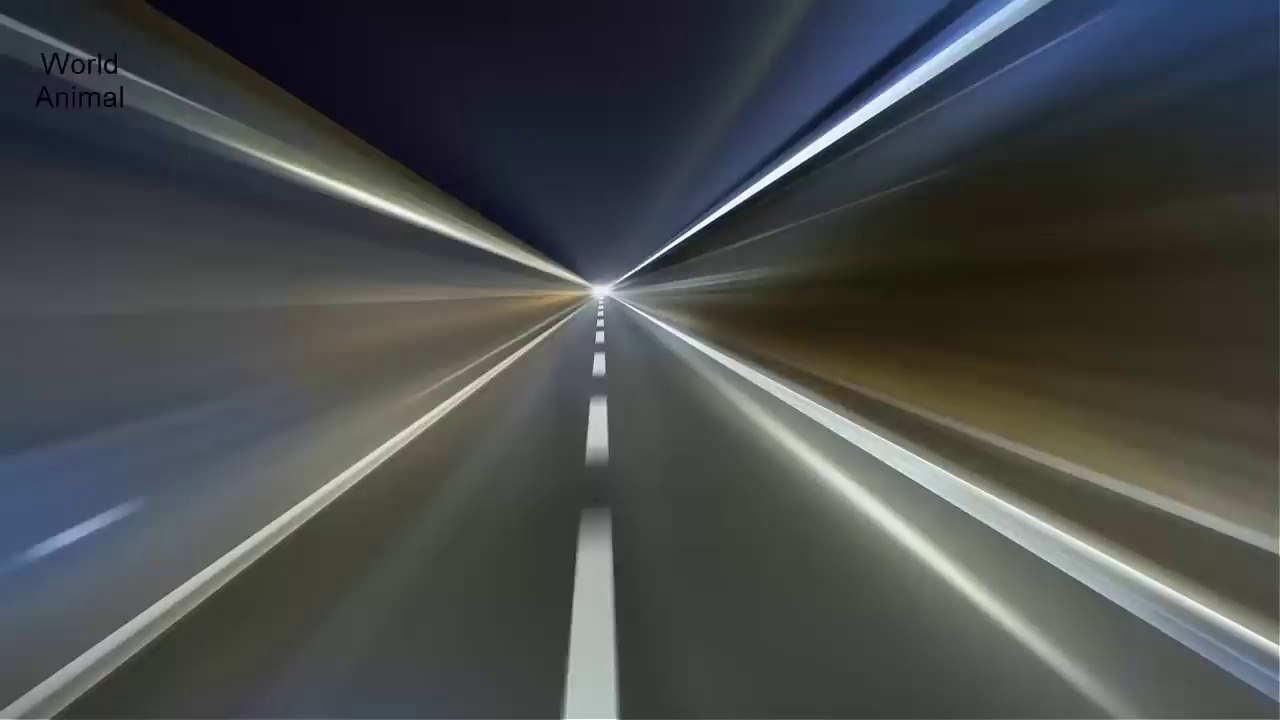 Hành trình chinh phục cá chép rồng khổng lồ và thành quả mĩ mãn