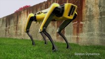 Boston Dynamics presenta su nuevo perro-robot