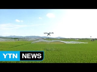 드론이용 농약살포 시연회 / YTN (Yes! Top News)
