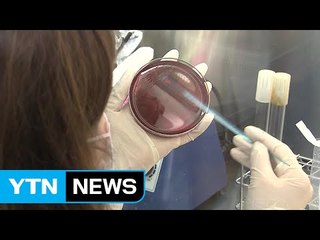 부천과 안동에도 중고생 식중독 의심 증세 / YTN (Yes! Top News)