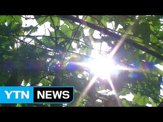 [날씨] 내일 33℃ 무더위 속 소나기...모레 꺾여 / YTN (Yes! Top News)