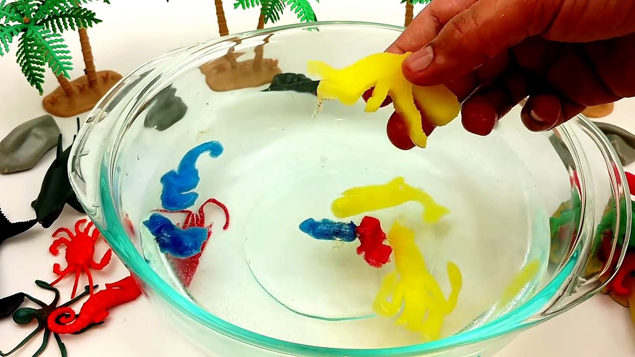 Magic Grow Capsules/Foam Sea Animals,Safari And Farm Animals/expandable Toys/Learn Names And Sounds