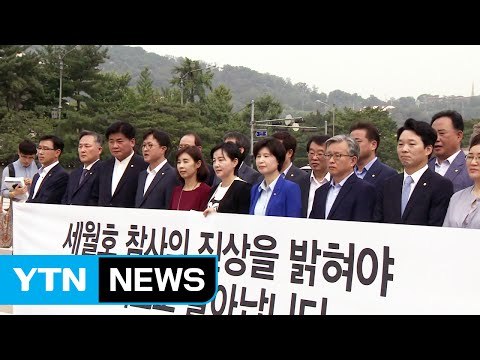 더민주 초선 의원들 박 대통령, 세월호 참사 진상 규명 직접 나서야 / YTN (Yes! Top News)