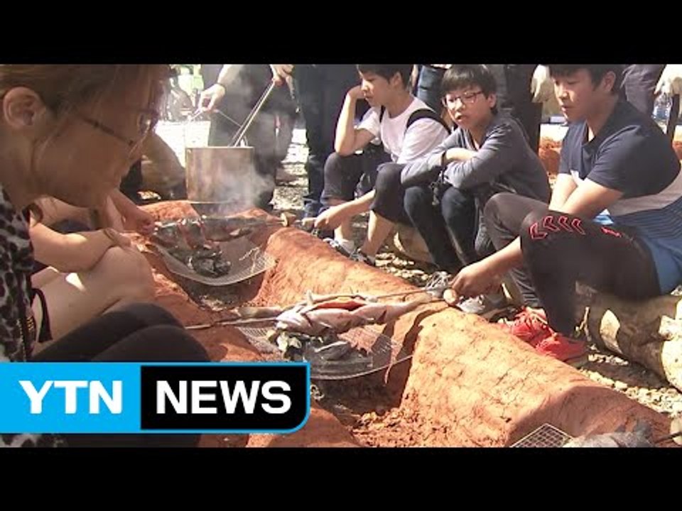 폭염 끝...가을 축제 100% 즐기기 / YTN (Yes! Top News)