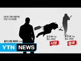 안양서 만취 괴한 흉기 난동...사건 당시 무슨 일이? / YTN (Yes! Top News)