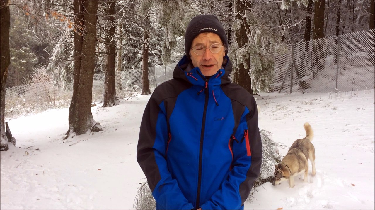 Musher à Saint-Régis du Coin