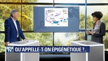 Chronique santé : l’épigénétique, c’est quoi ?