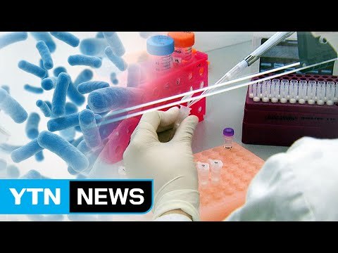 콜레라 환자 2명 유전자형 같아...환자 증가 우려 / YTN (Yes! Top News)