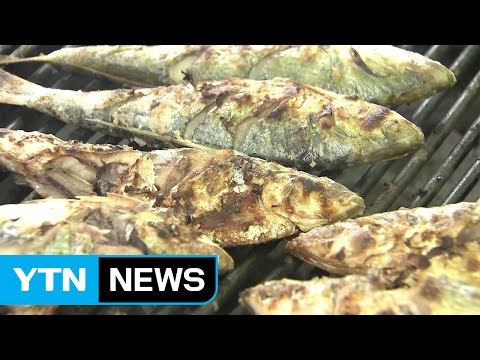 성큼 다가온 가을...별미 전어 드세요! / YTN (Yes! Top News)
