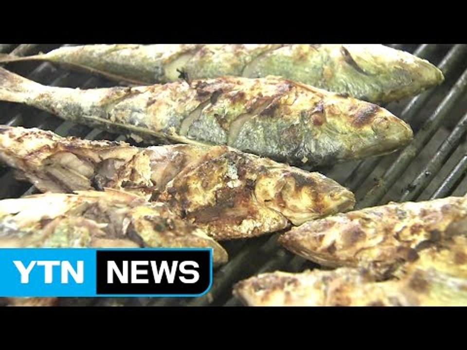 성큼 다가온 가을...별미 전어 드세요! / YTN (Yes! Top News)
