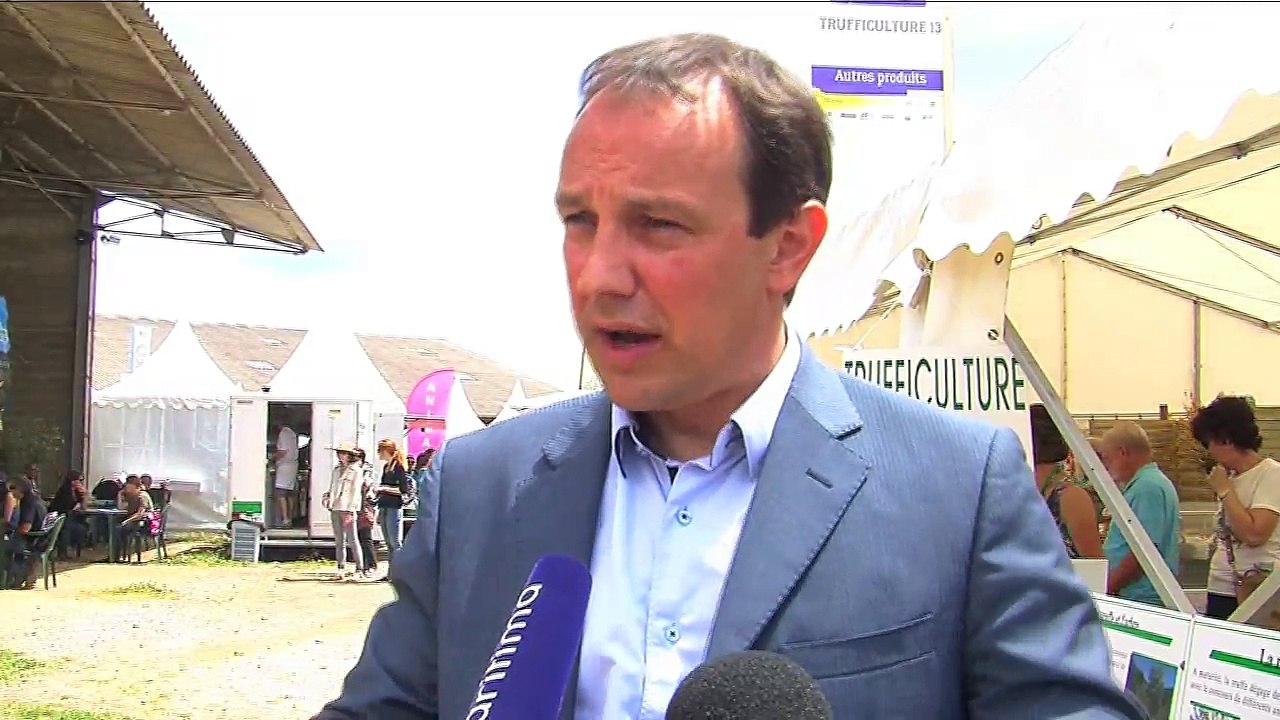 Salon des agricultures de Provence : 420 brebis et 140 exposants à l'ouverture