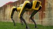 SpotMini, le nouveau chien-robot de Boston Dynamics