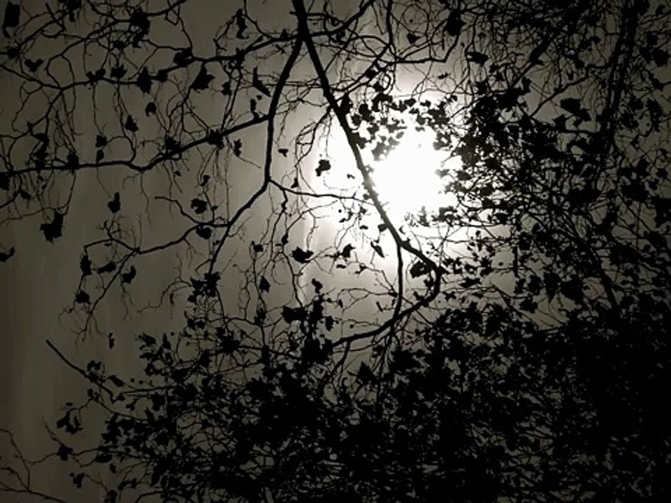 Alien Hand Syndrome The Evil And The Lovelorn (2009 EP Version)