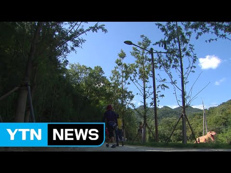 어느새 가을 '성큼'...산으로 강으로 나들이객 북적 / YTN (Yes! Top N...