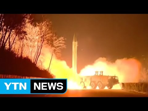 美 전문가 북, SLBM 지상배치 가능...한국 사드 포대 2개 필요 / YTN (Yes! Top News)