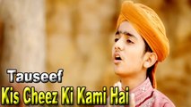 Tauseef - Kis Cheez Ki Kami Hai