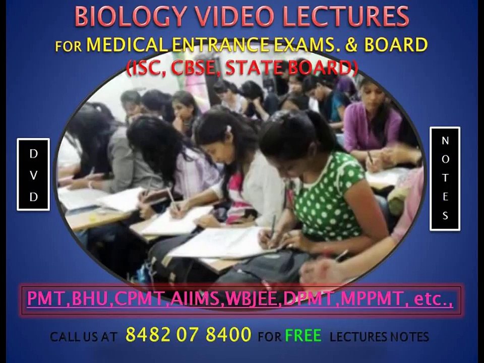 circulatory system part 1