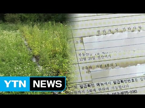 우병우 전방위 수사...속전속결 방침 / YTN (Yes! Top News)