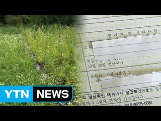 우병우 전방위 수사...속전속결 방침 / YTN (Yes! Top News)