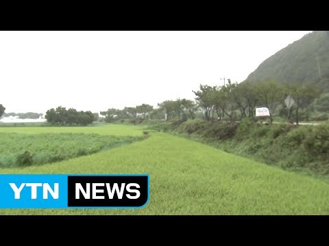 가뭄에 단비...해갈에는 역부족 / YTN (Yes! Top News)