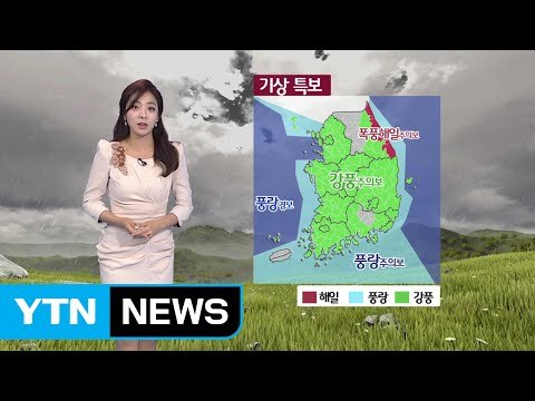 [날씨] 전국 강한 비바람...동해안 이틀째 해일 / YTN (Yes! Top News)