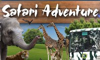Taman Safari Akan Laporkan Pelaku Pemberi Alkohol pada Hewan