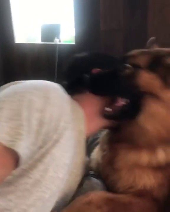 QUI joue avec son chien comme ça.. c'est pas ta meuf !